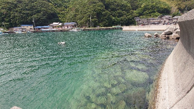 f:id:lonewolf1964:20240519091825j:image