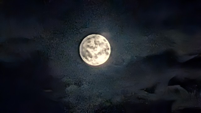 f:id:lonewolf1964:20250816150227j:image f:id:lonewolf1964:20250816150227j:image