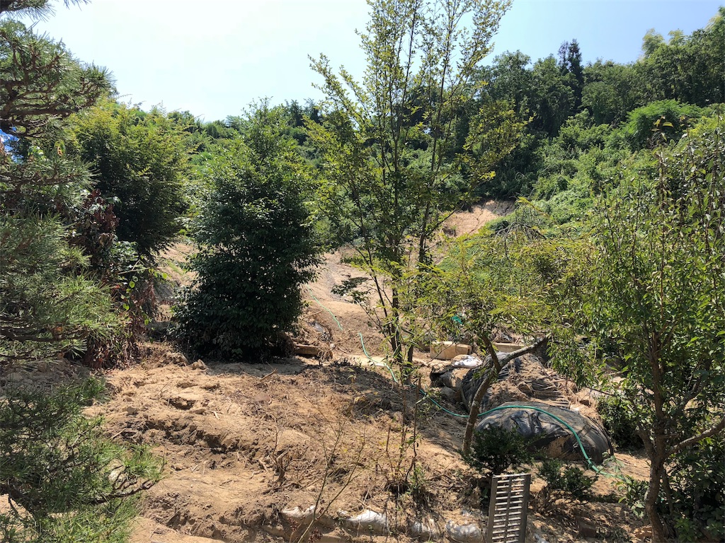 f:id:longdanlu:20190706203036j:image f:id:longdanlu:20190706203036j:image