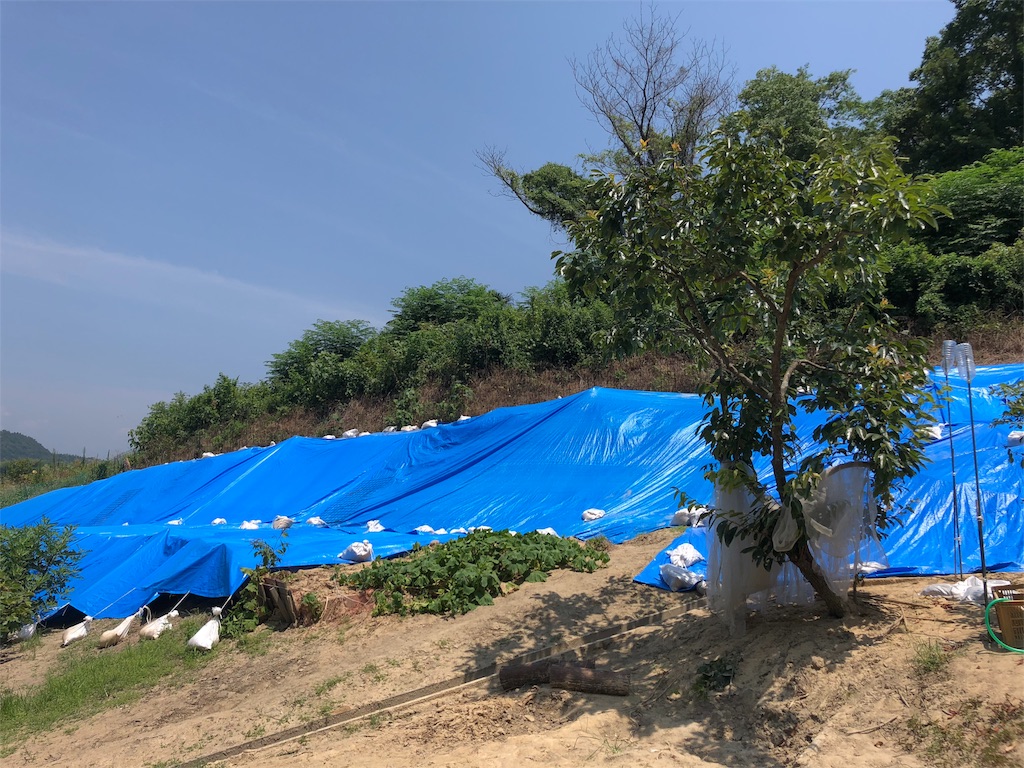 f:id:longdanlu:20190706203039j:image f:id:longdanlu:20190706203039j:image