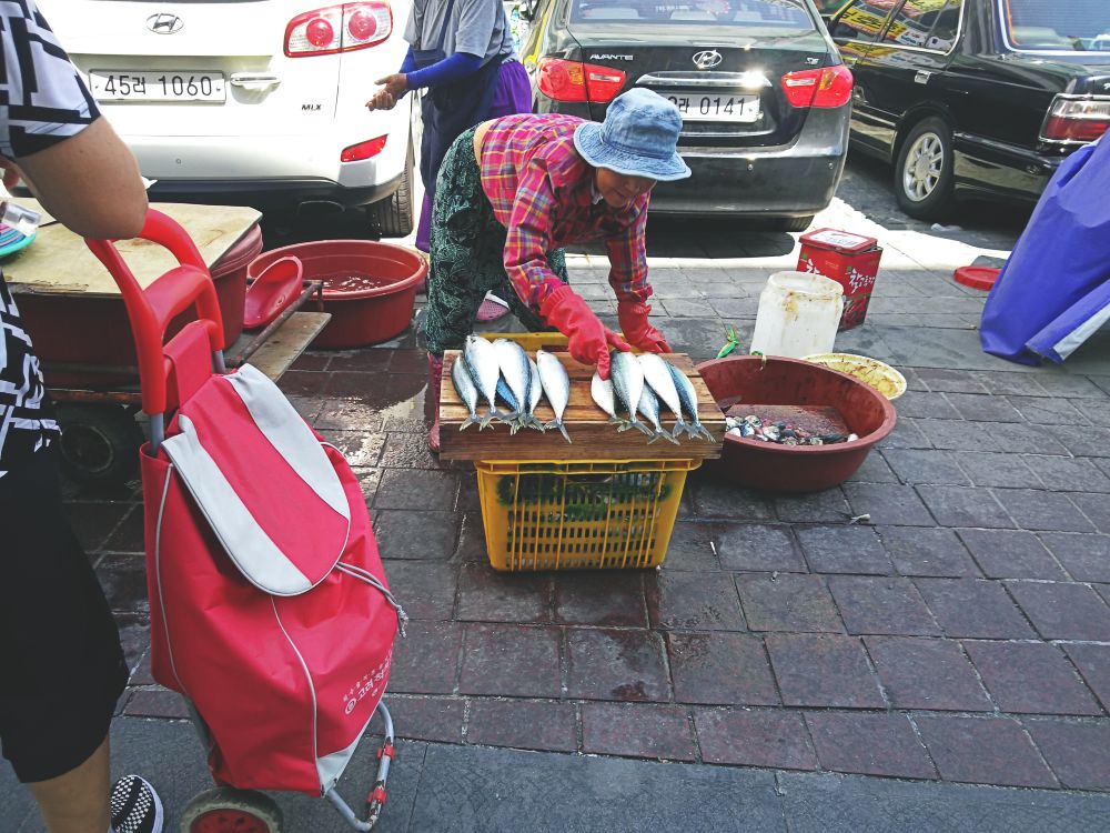 f:id:longtallsally:20180826015904j:plain f:id:longtallsally:20180826015904j:plain