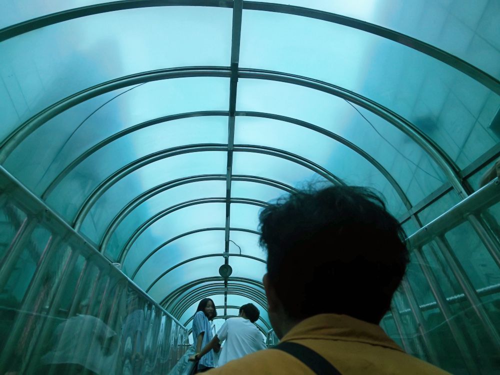 f:id:longtallsally:20180826024124j:plain f:id:longtallsally:20180826024124j:plain