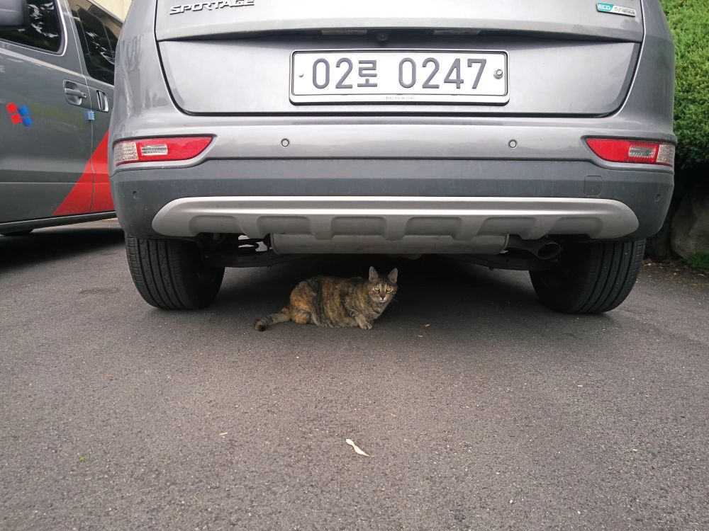 f:id:longtallsally:20180826024441j:plain f:id:longtallsally:20180826024441j:plain