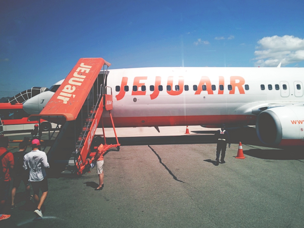 f:id:longtallsally:20190706043655j:plain f:id:longtallsally:20190706043655j:plain