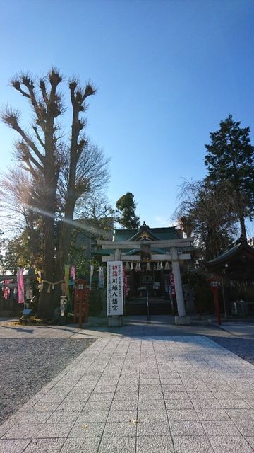 f:id:longvie:20181119165454j:image f:id:longvie:20181119165454j:image