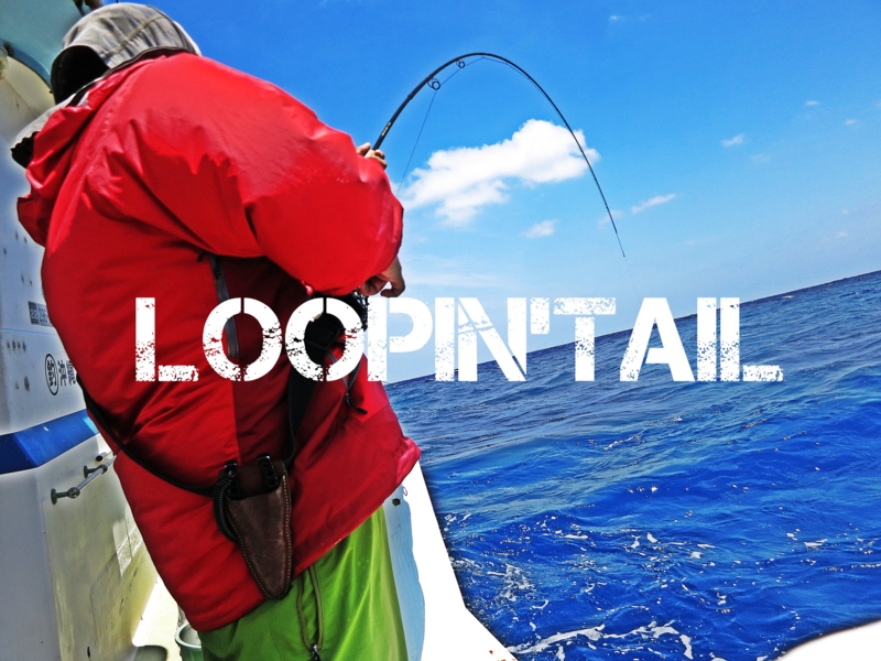 f:id:loopintail:20130430234303j:image f:id:loopintail:20130430234303j:image
