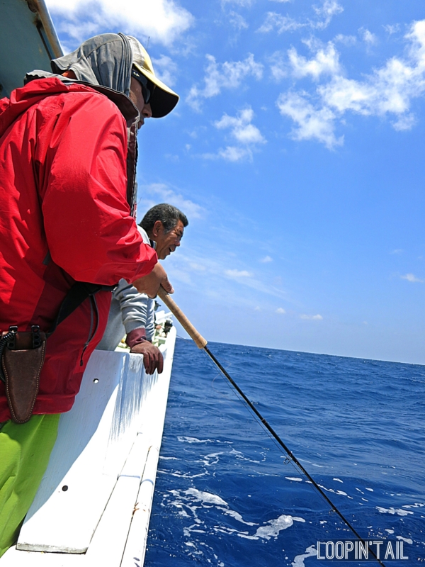 f:id:loopintail:20130502175440j:image f:id:loopintail:20130502175440j:image