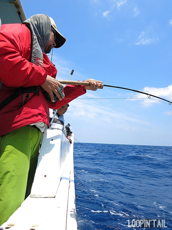 f:id:loopintail:20130502180953j:image f:id:loopintail:20130502180953j:image