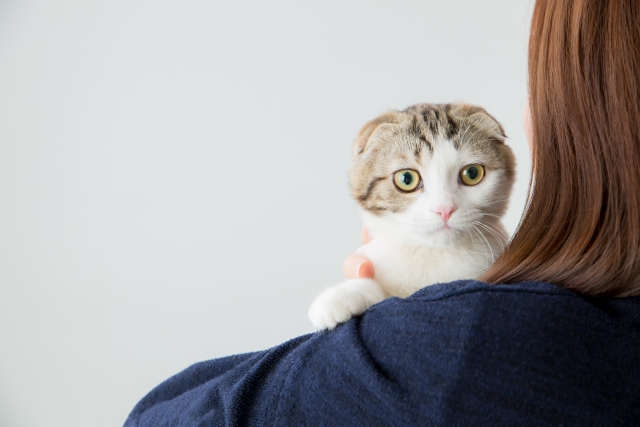 猫と人 photo by photo AC