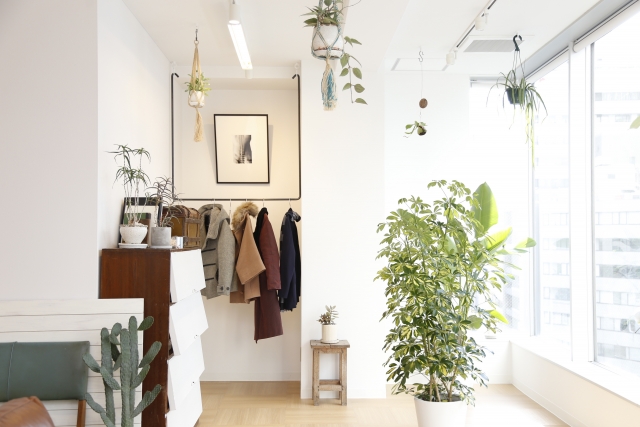 植物とおしゃれなルームPhoto by ACphoto