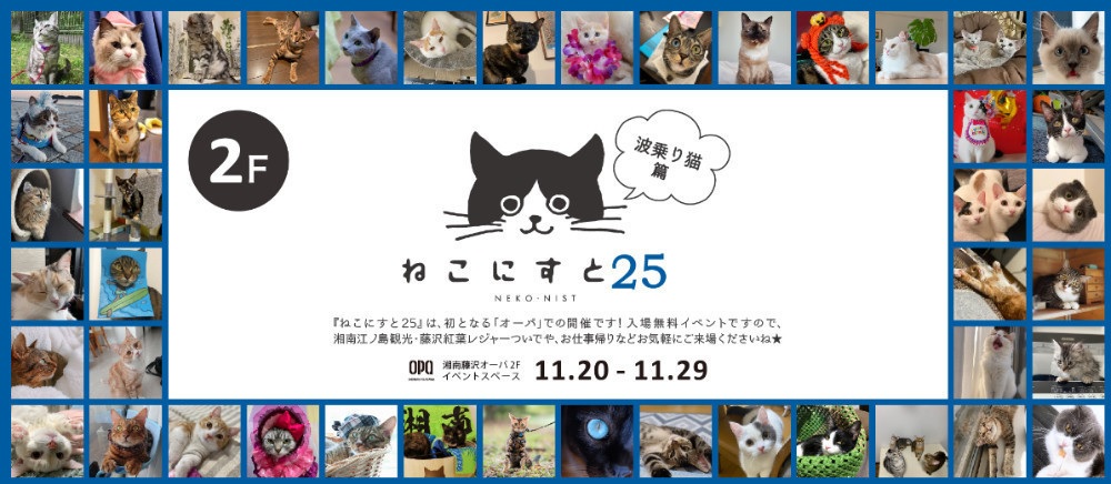 インスタで話題 ねこにすとってどんなイベント 過去の開催地 開催場所は Love Yourself