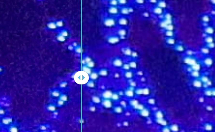 f:id:looseleaf0727:20181220125258j:plain f:id:looseleaf0727:20181220125258j:plain