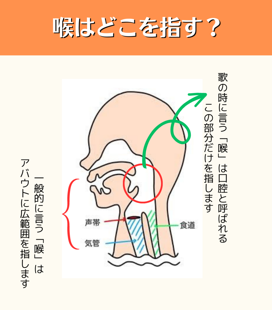 歌のレッスンで言う「喉」ってどこ? - 『喉の力み改善ボイトレ法』