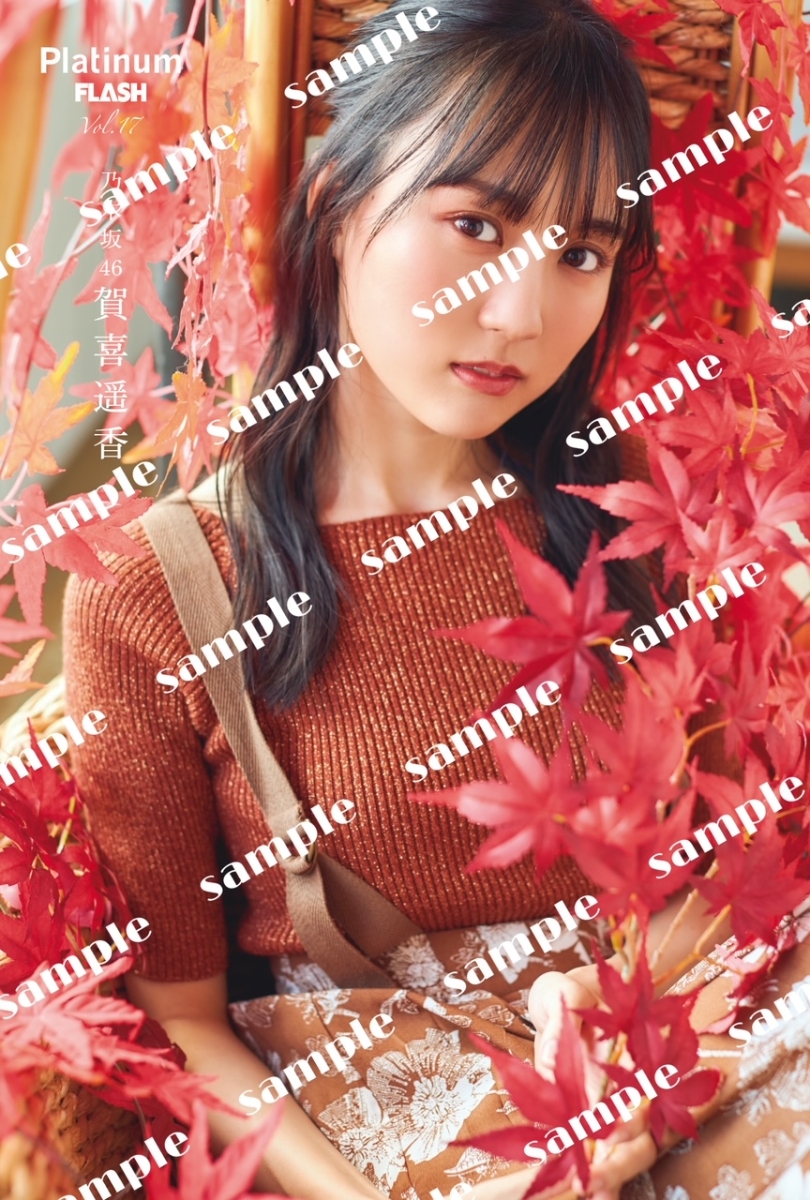f:id:lop-eared:20211026131446j:plain