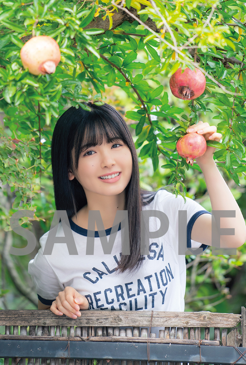 f:id:lop-eared:20211209130133j:plain