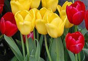 f:id:lopez42:20190427000537j:plain