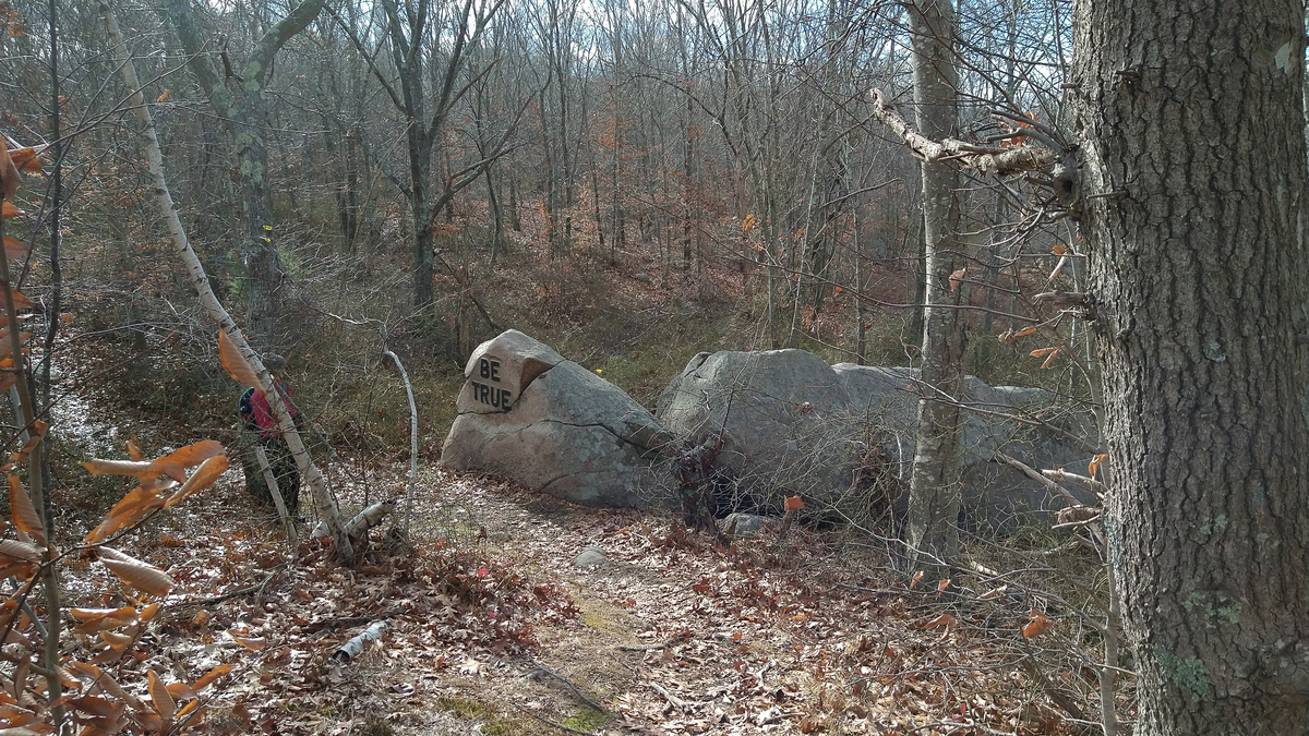 f:id:lorenthecat:20201211044156j:plain
