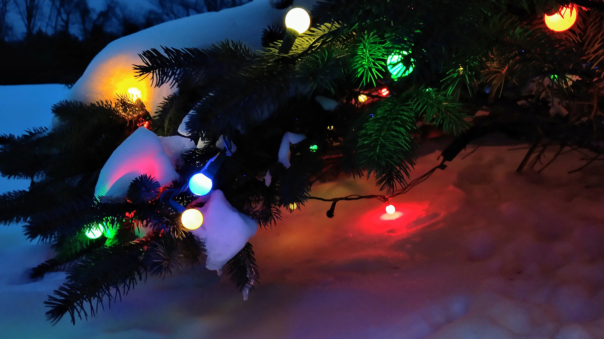 f:id:lorenthecat:20210103222053j:plain