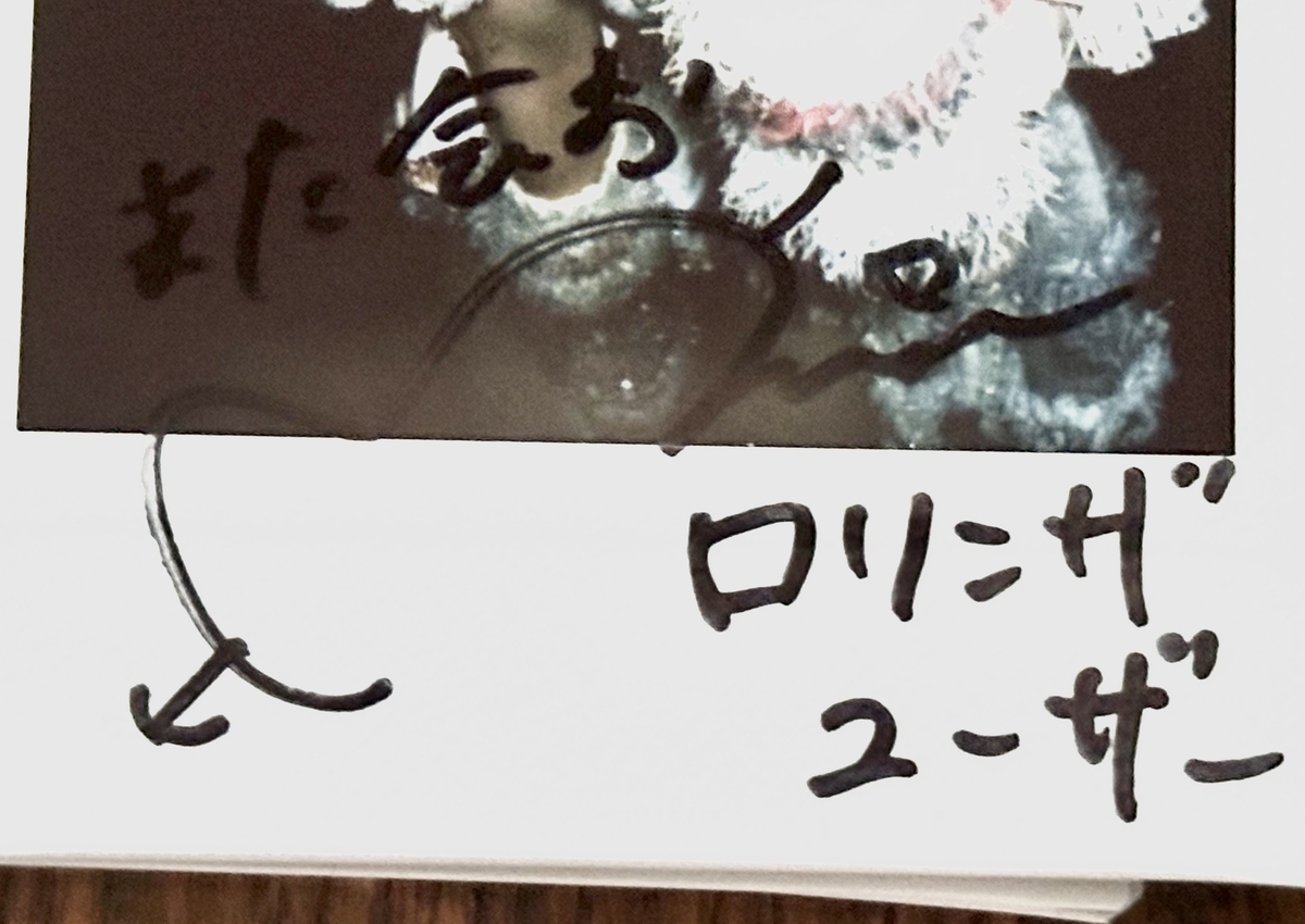 アイドルのサインの書き方（地下アイドルサイン資料庫） - 日々