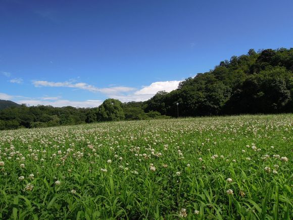 f:id:los_endos:20110710023932j:image