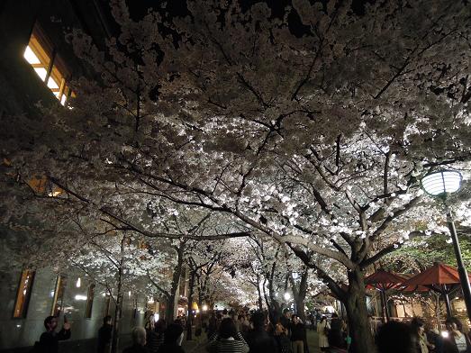 f:id:los_endos:20120410234457j:image