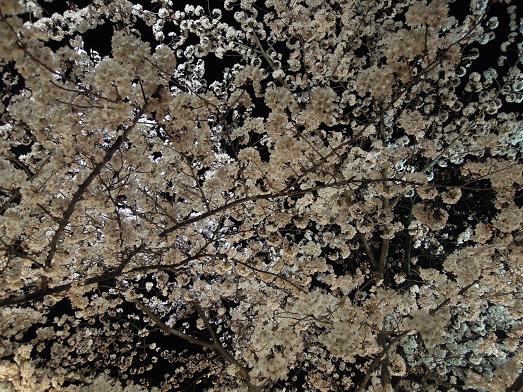 f:id:los_endos:20120410234500j:image