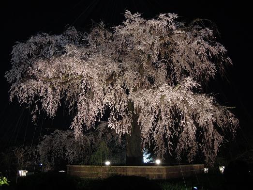 f:id:los_endos:20120410234502j:image