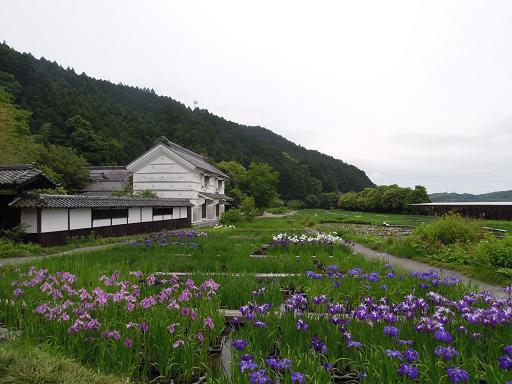 f:id:los_endos:20120524214830j:image