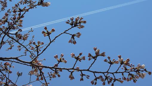 f:id:los_endos:20120712234310j:image