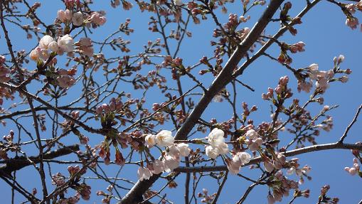 f:id:los_endos:20120712235526j:image