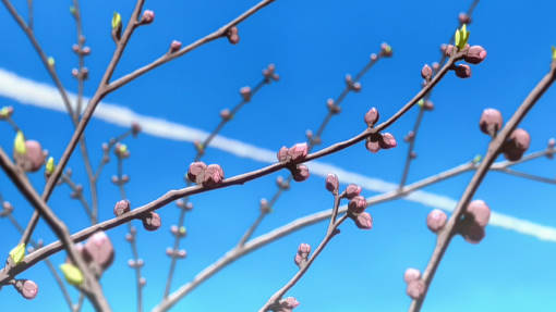 f:id:los_endos:20120718230721j:image