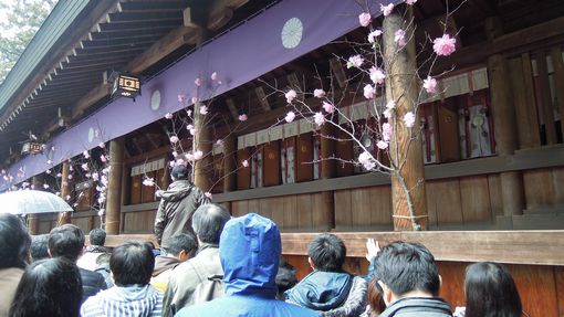 f:id:los_endos:20130407151345j:image:w510