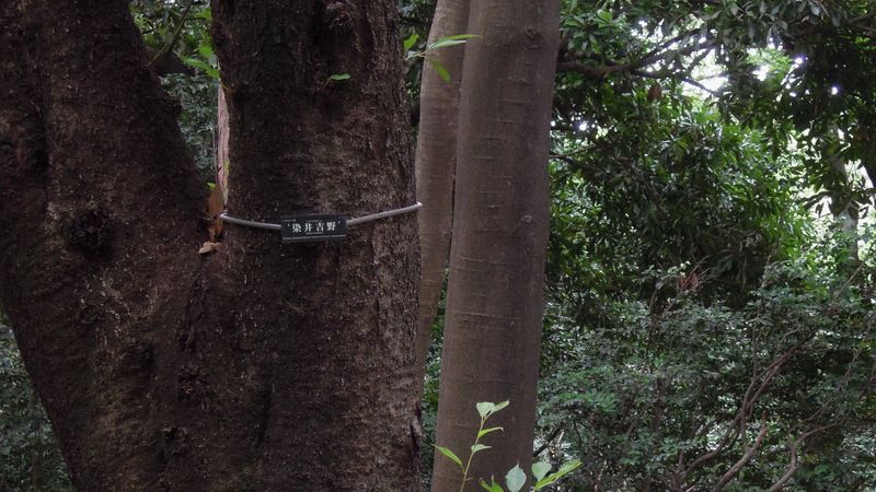 f:id:los_endos:20130911202447j:image:w510