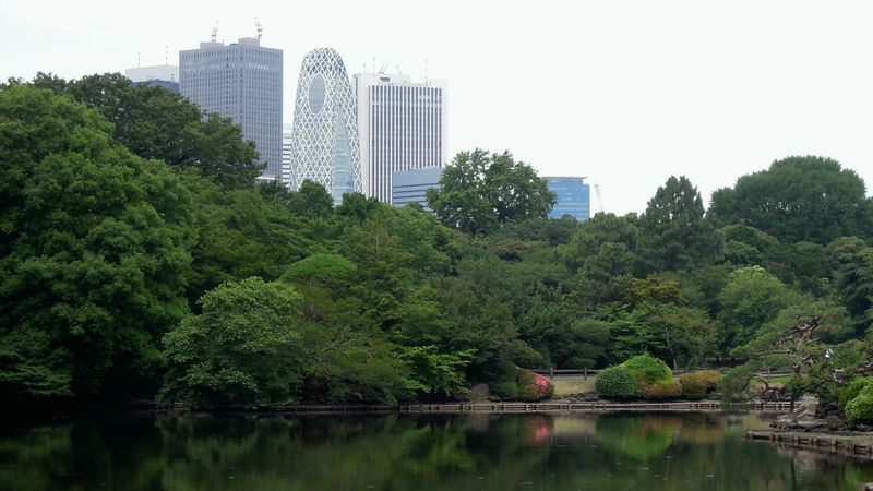 f:id:los_endos:20130911215014j:image:w510