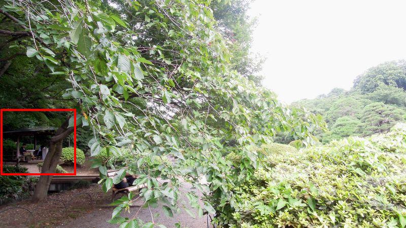 f:id:los_endos:20130912215356j:image:w510