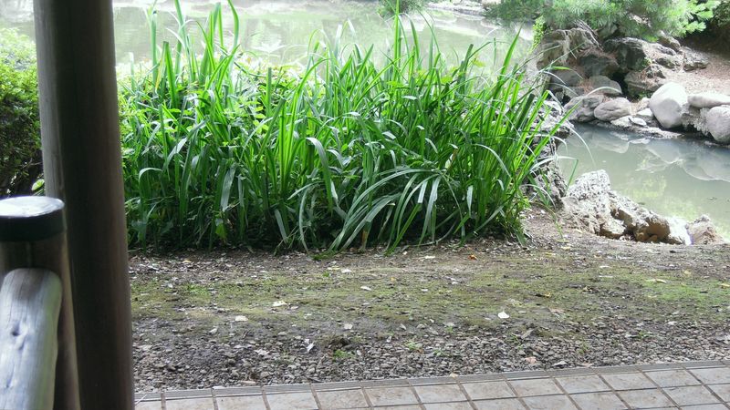 f:id:los_endos:20130912231132j:image:w510