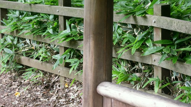 f:id:los_endos:20130912231135j:image:w510