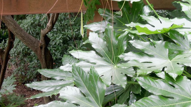 f:id:los_endos:20130916203149j:image:w510