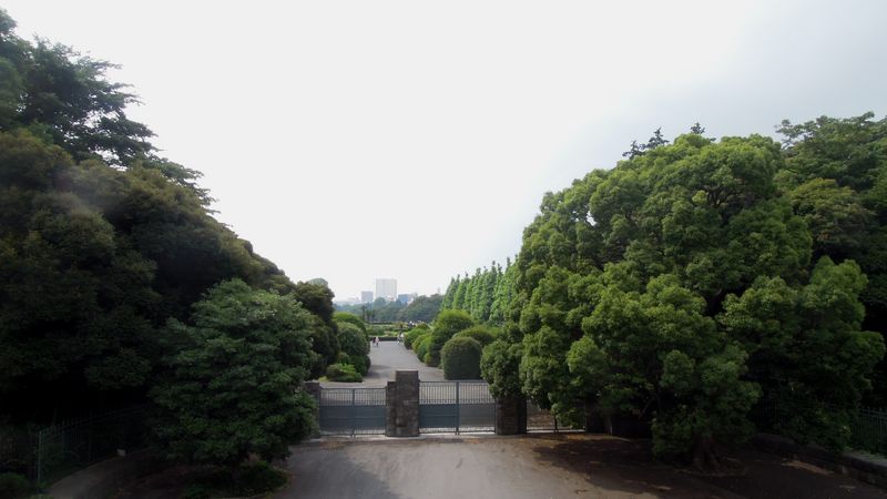 f:id:los_endos:20130917231419j:image:w510