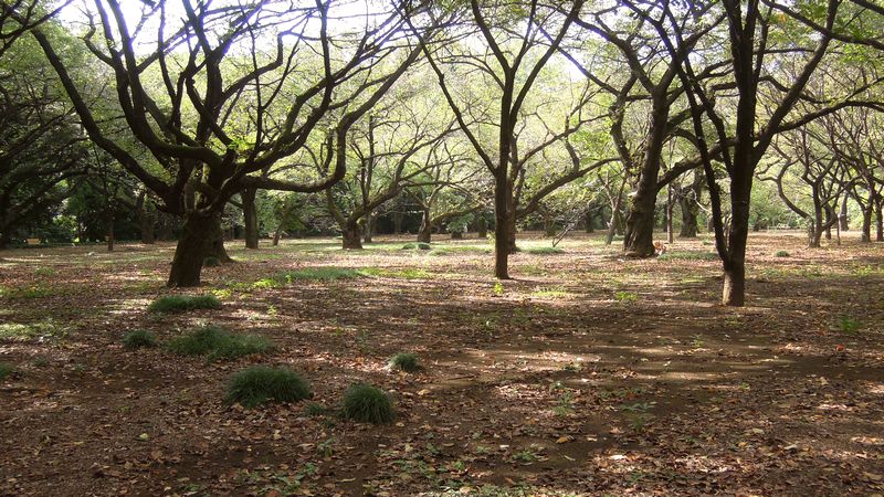 f:id:los_endos:20131006202527j:image:w510