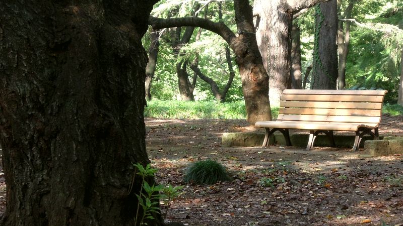 f:id:los_endos:20131006202529j:image:w510