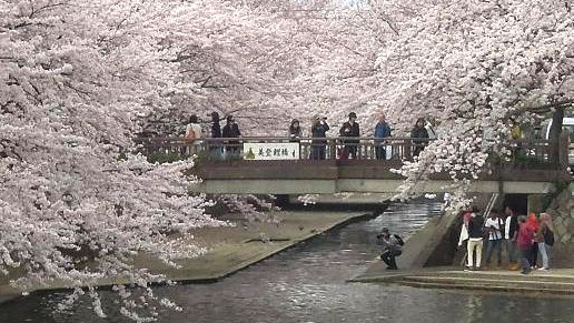 f:id:los_endos:20161018114827p:plain f:id:los_endos:20161018114827p:plain