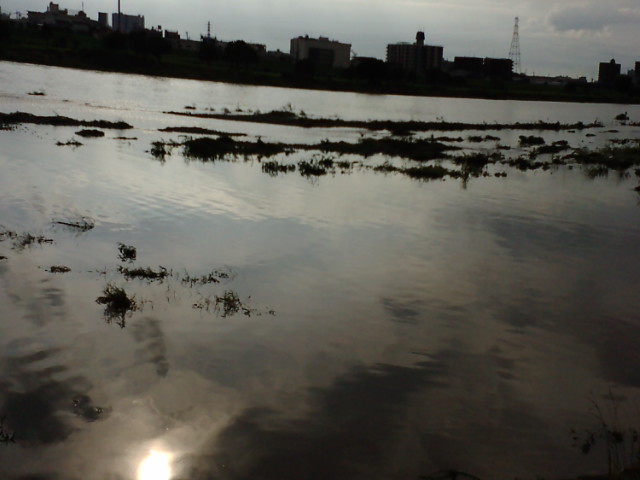 f:id:losgitanos:20080830155931j:image:w360