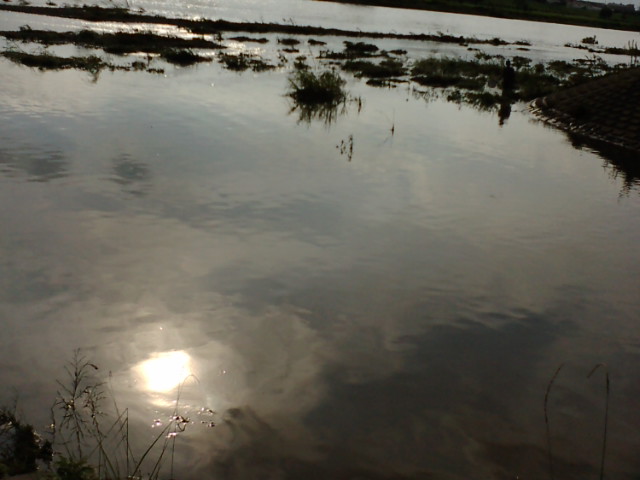 f:id:losgitanos:20080830160339j:image:w360