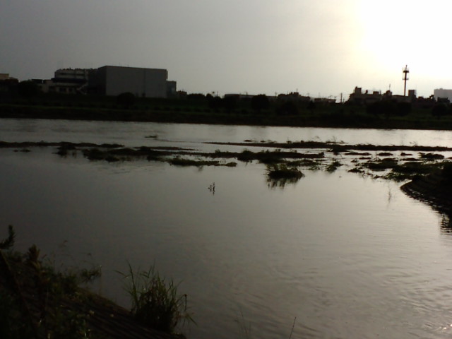 f:id:losgitanos:20080830161108j:image:w360
