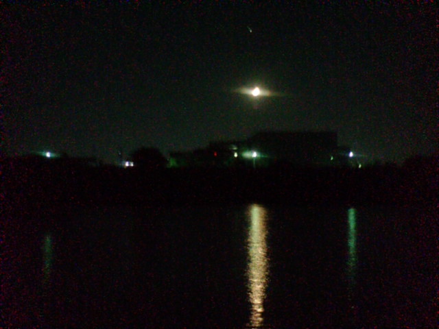 f:id:losgitanos:20080909223954j:image:w360