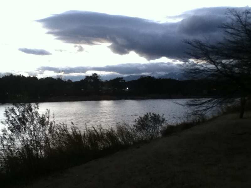 f:id:losgitanos:20131121163546j:image:w640