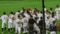f:id:losgitanos:20140729203026j:image:small