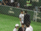 f:id:losgitanos:20140729203431j:image:small