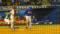 f:id:losgitanos:20141006212724j:image:small